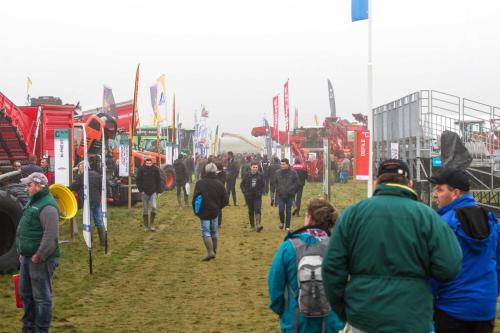 4-Exposants-en-exterieur